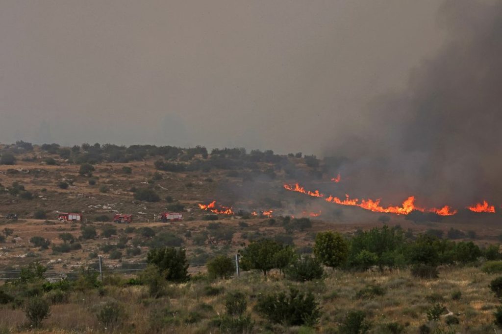 Kebakaran Hutan Israel 2025: Api Liar Hanguskan Hutan Israel